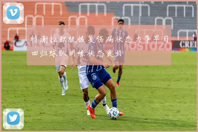 特谢拉积极恢复伤病状态力争早日回归球队训练状态良好