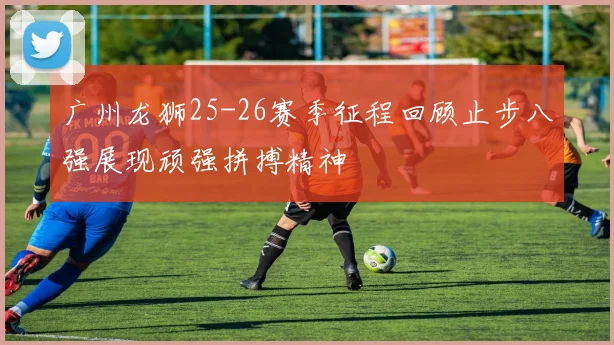 广州龙狮25-26赛季征程回顾止步八强展现顽强拼搏精神