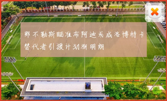那不勒斯瞄准布阿迪或成洛博特卡替代者引援计划渐明朗
